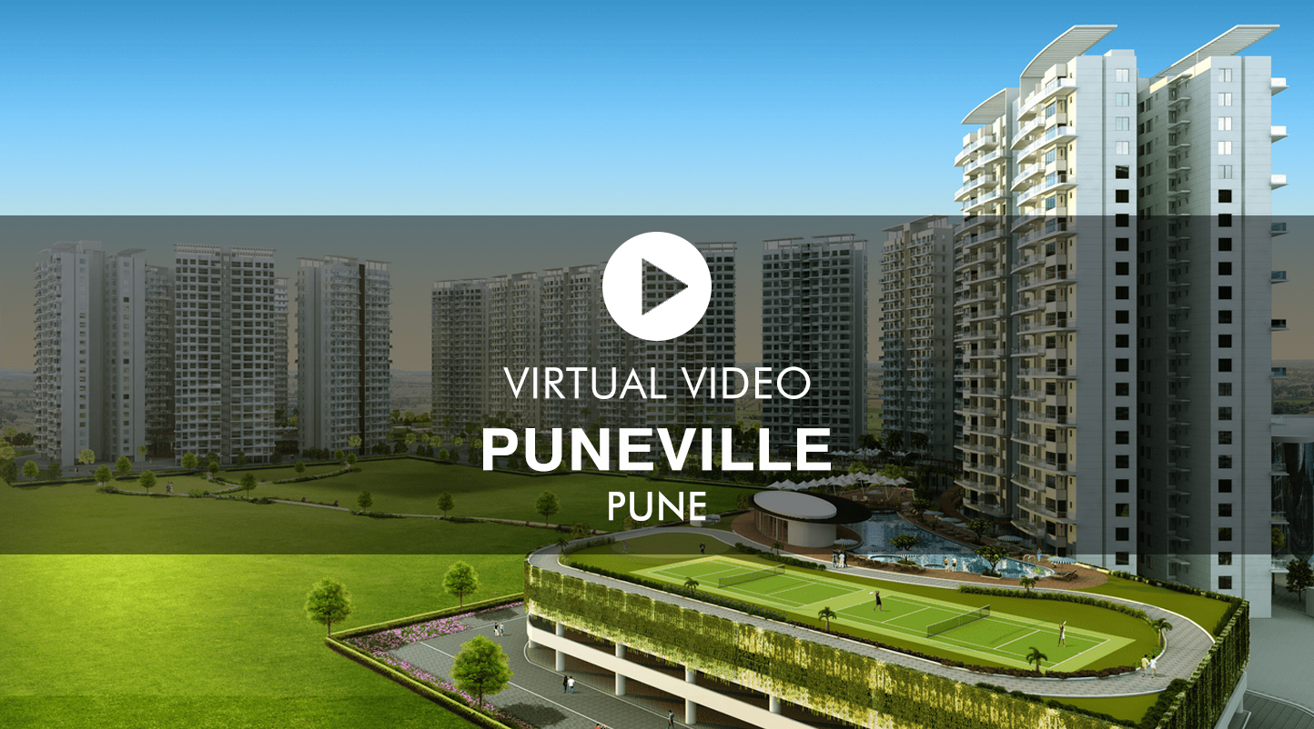 PUNEVILLE Virtual Site Visit